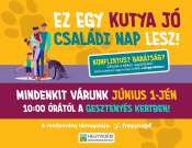 Kutya jó családi nap