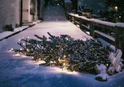 Indul a fenyőfák begyűjtése – Itt a budapesti gyűjtőhelyek listája