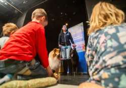 Kutyák a színpadon – Színházban tanítják állatvédelemre a gyerekeket