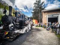 Gyermekvasút napja Gyermekvasút napja