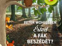 Júliusi könyvajánló - Peter Wohlleben: Érted a fák beszédét?