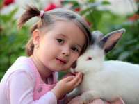 Húsvéti állatságok a NOÉ Állatotthonban 